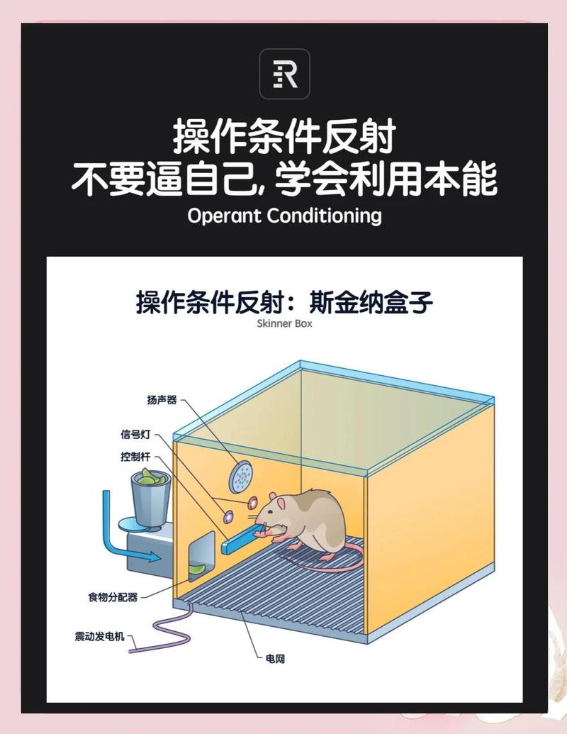 解密爱德万如何应对测试挑战