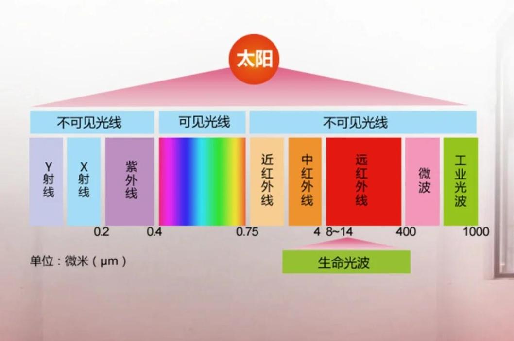 超声的频谱是什么意思啊