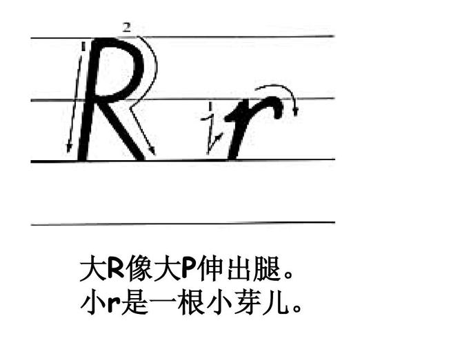什么是“R”?